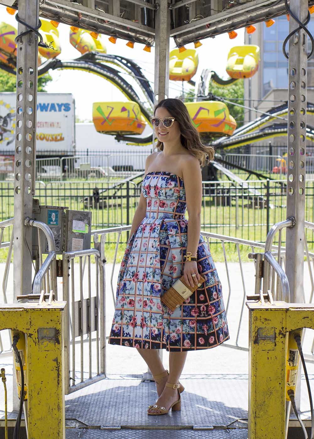 Mary Katrantzou Strapless Rose Dress