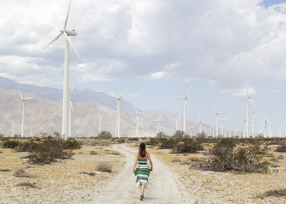 Palm Springs Wind Farm