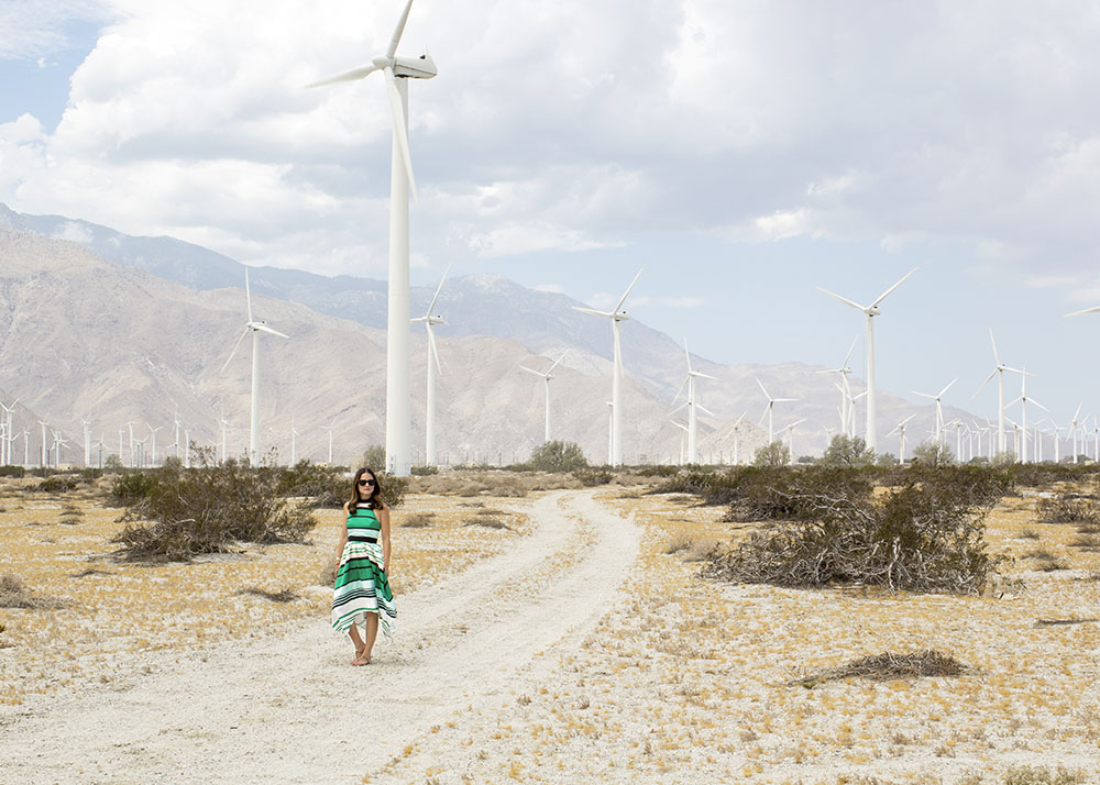 Palm Springs Wind Farm