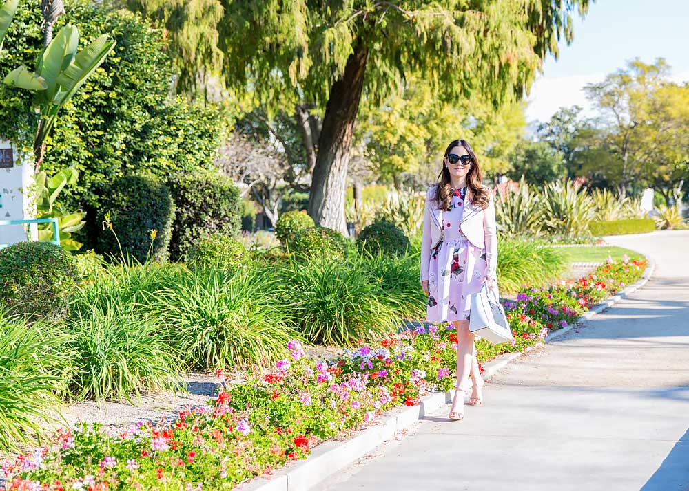 Beverly Hills Blog Blogger