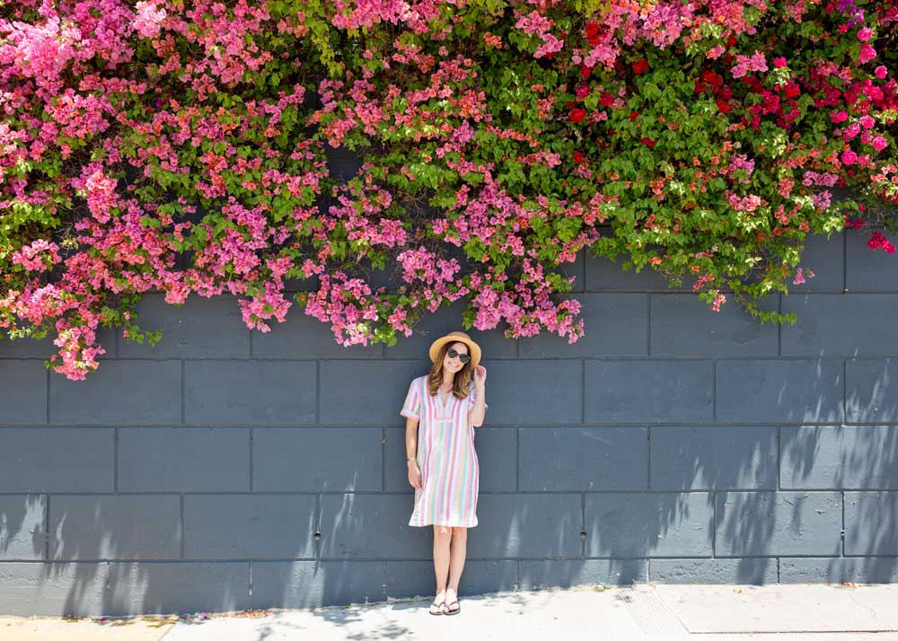 Los Angeles Bougainvillea