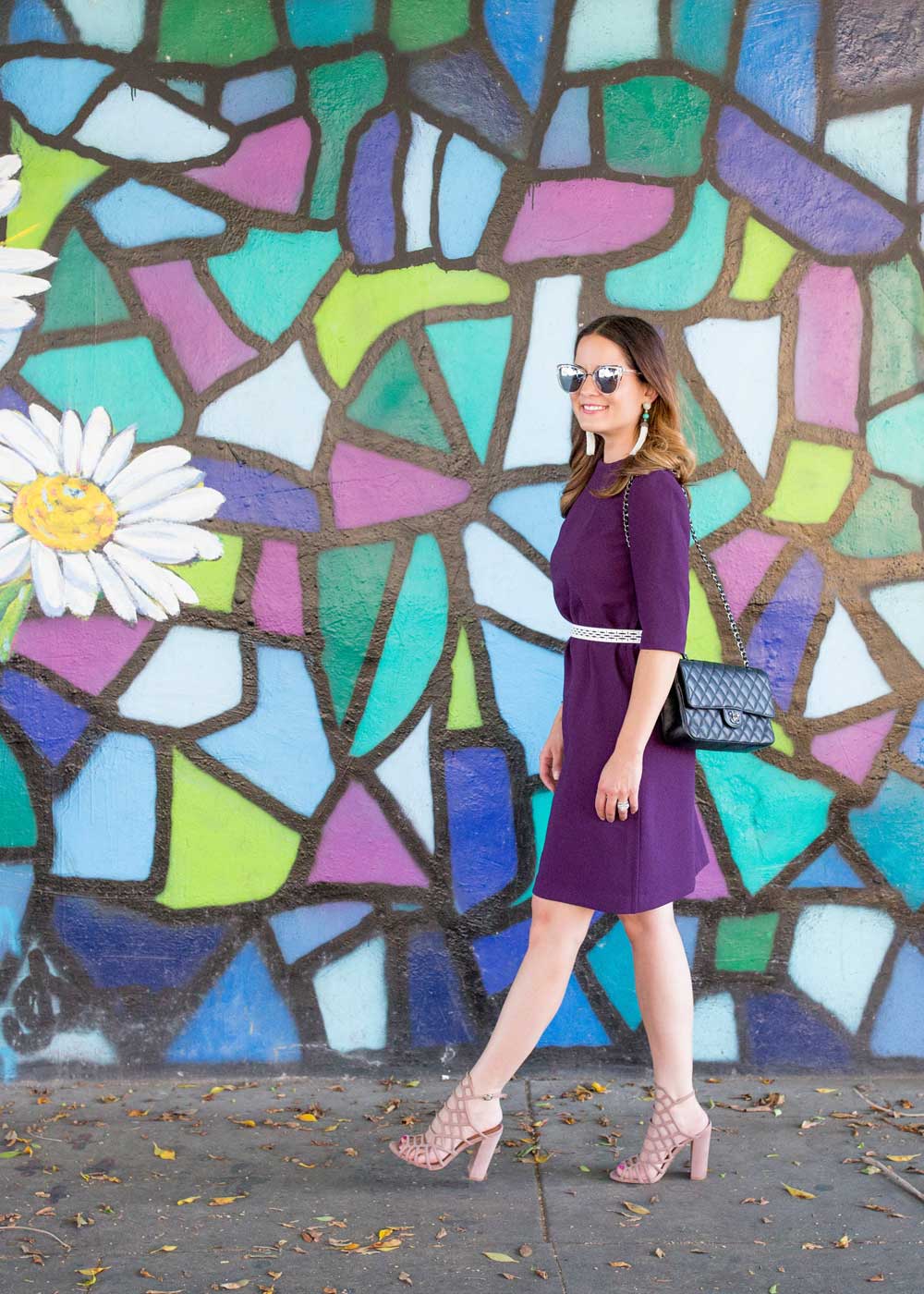 Los Angeles Multicolor Daisy Mural