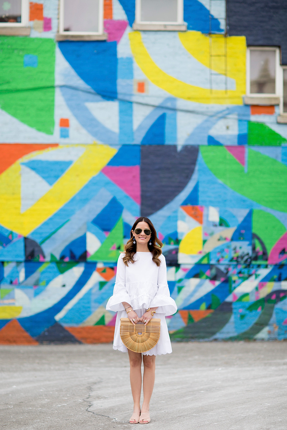 Colorful Chicago Walls Murals