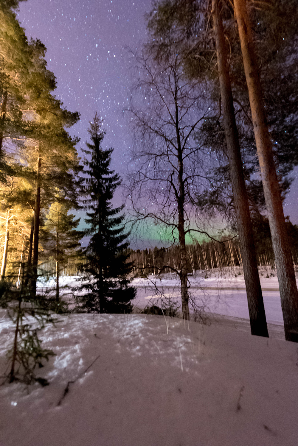 Finland Northern Lights