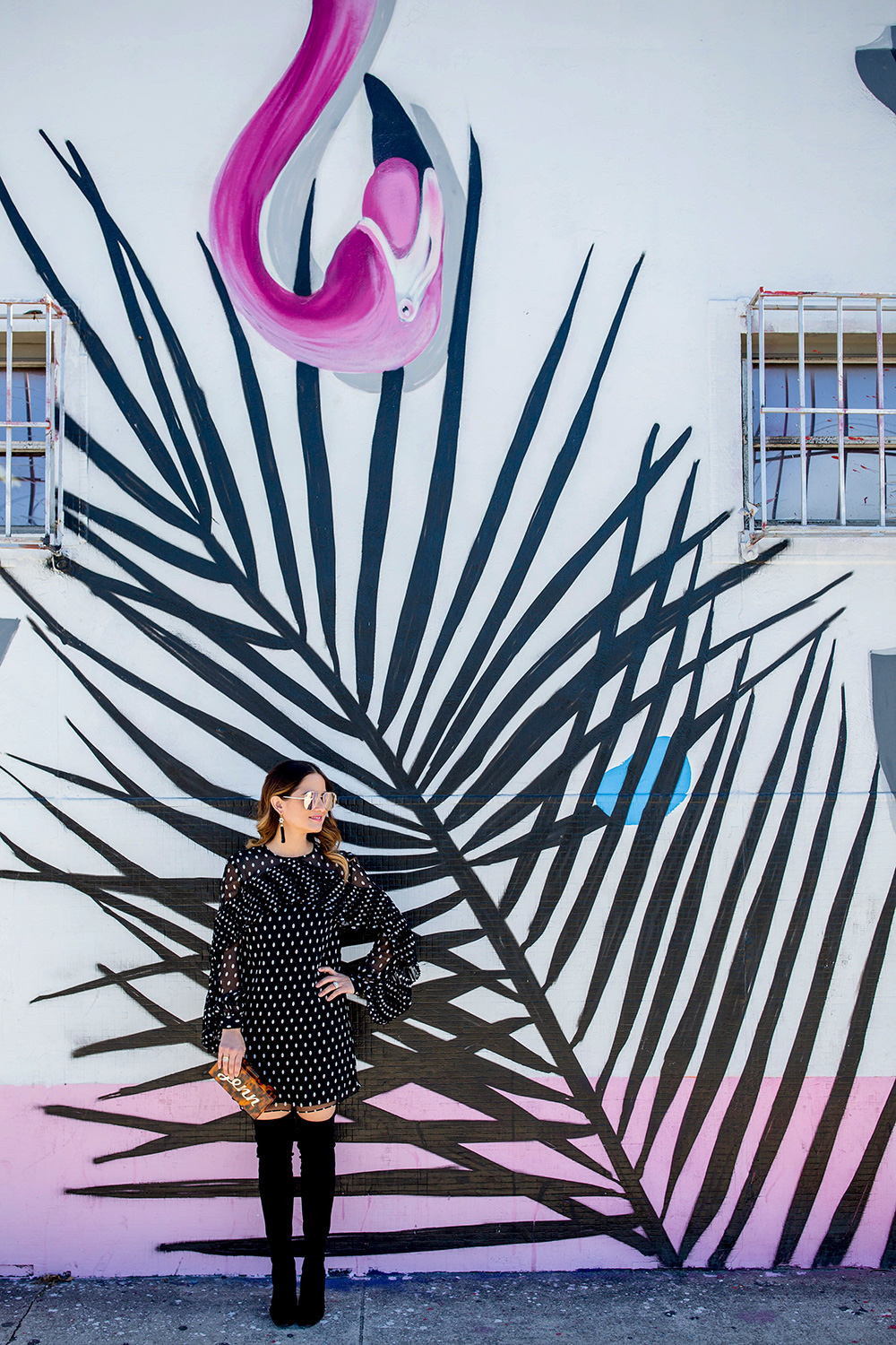 Pink Flamingo Mural Miami Wynwood