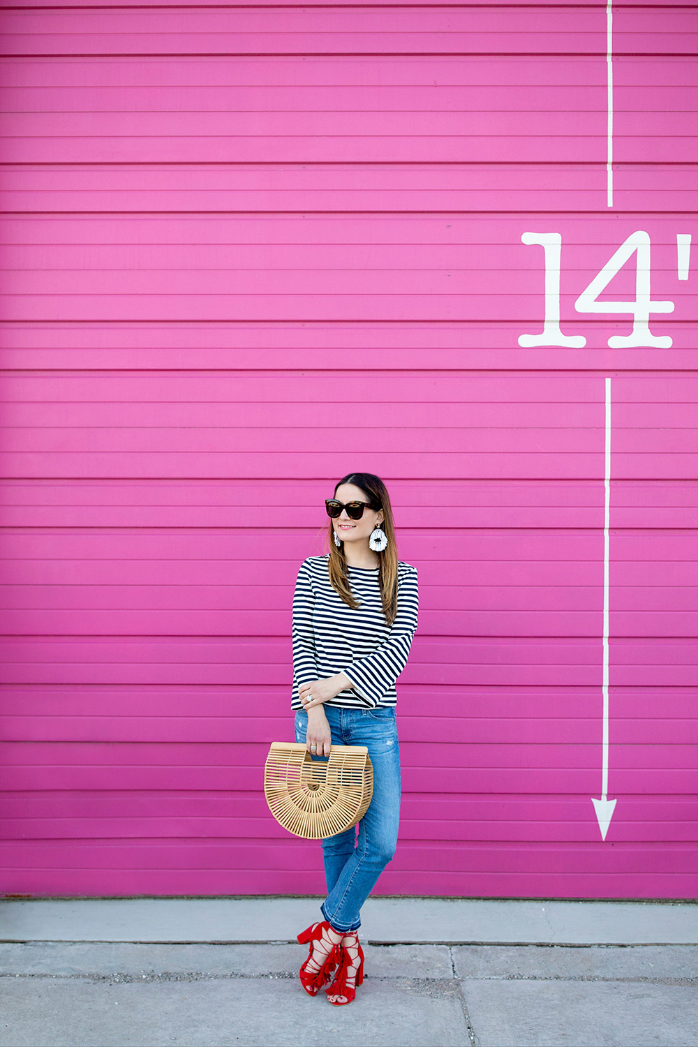 Chicago Pink Garage Door