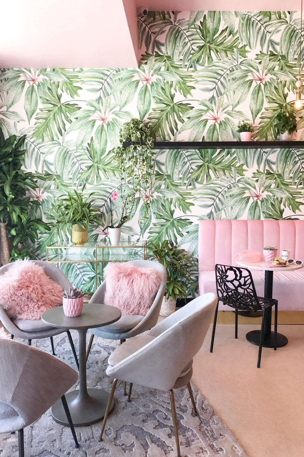 Holy Matcha San Diego Interior Design