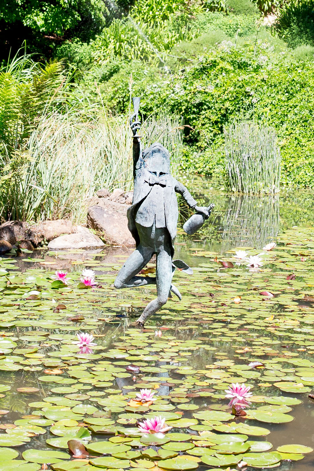 Schramsberg Napa Frog Statue