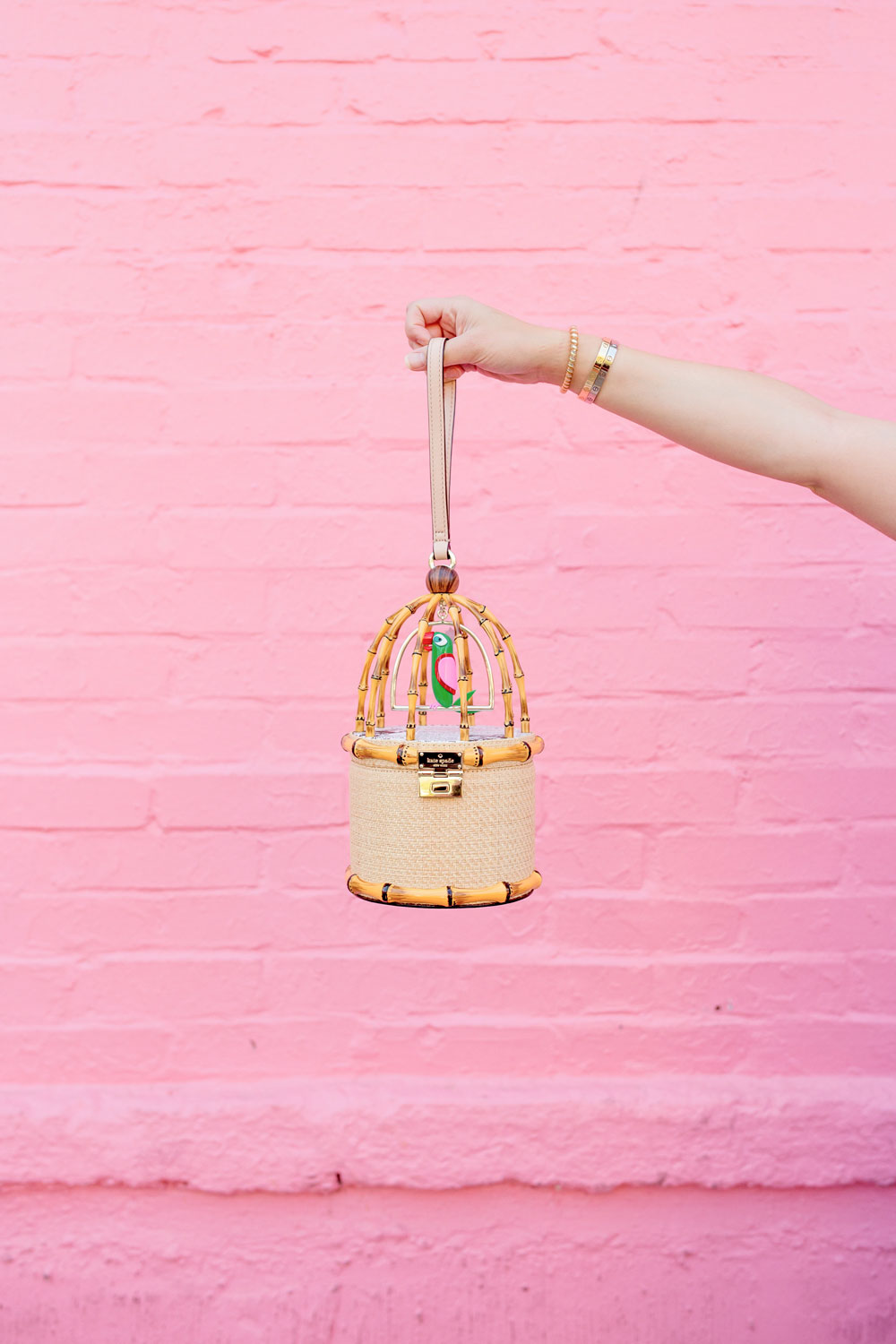 Kate Spade Parrot Cage Bag