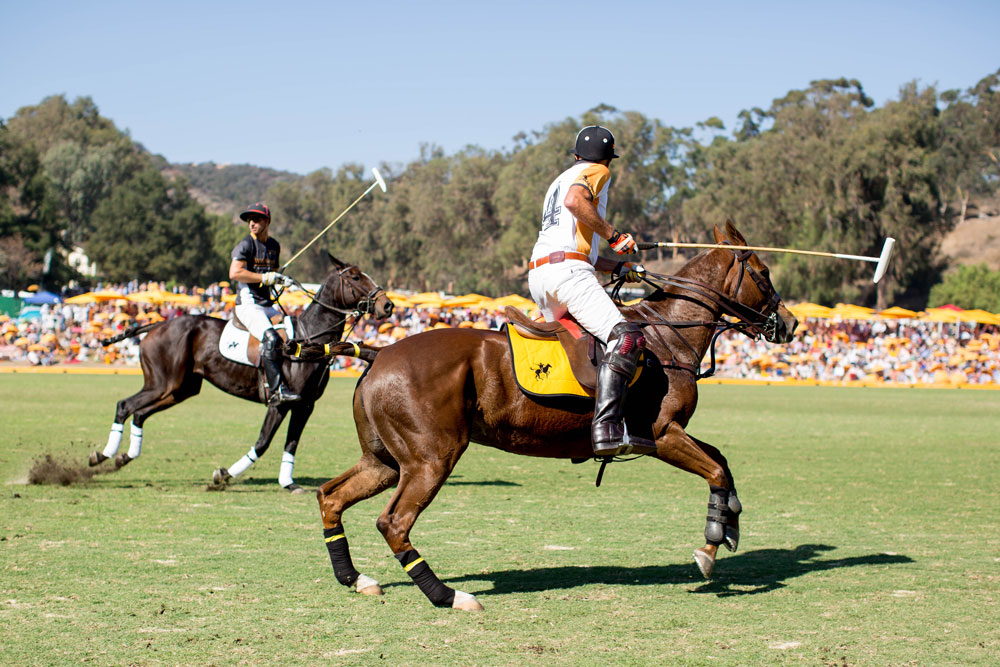 Polo Match Action Shots