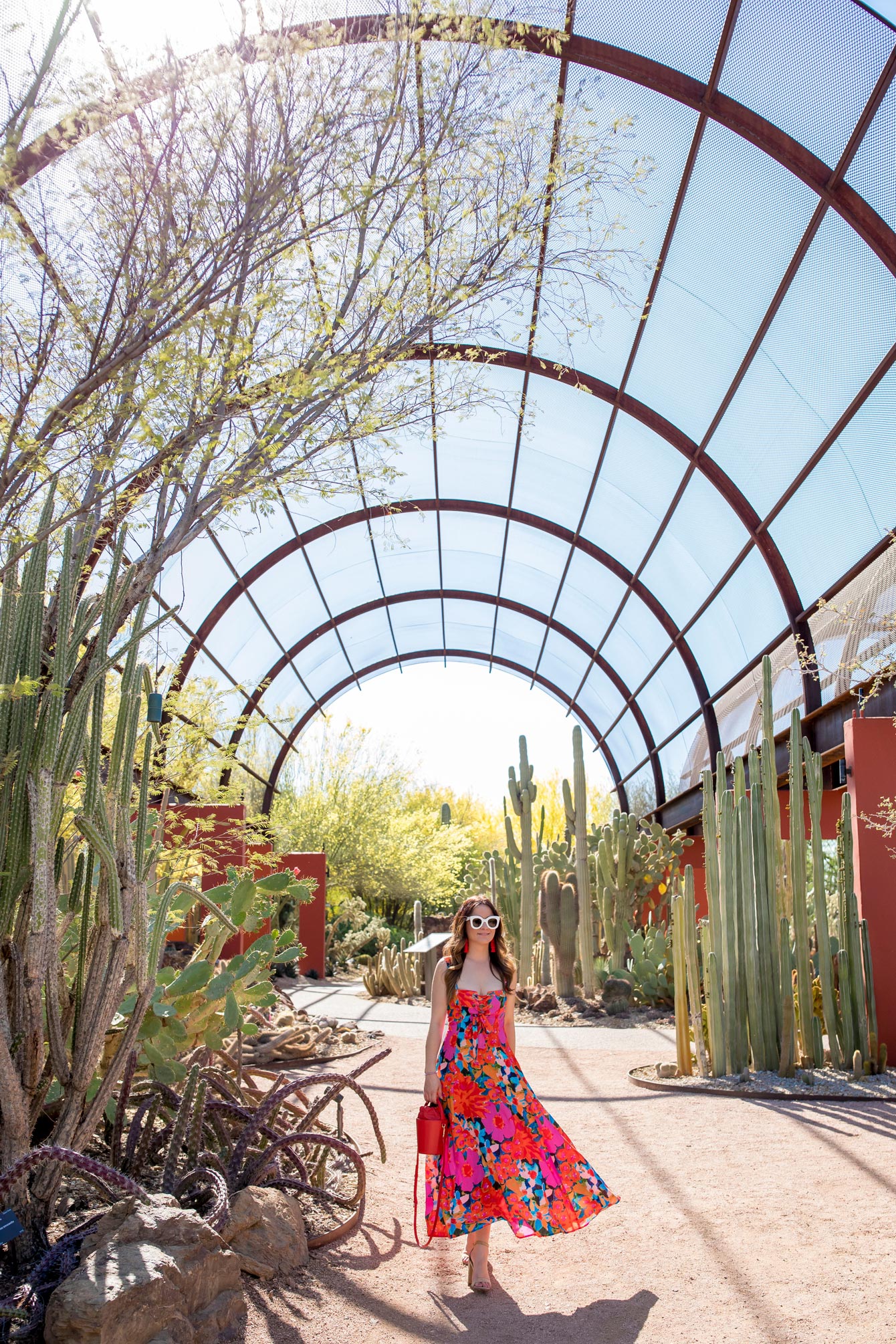 Jennifer Lake Scottsdale Botanic Garden