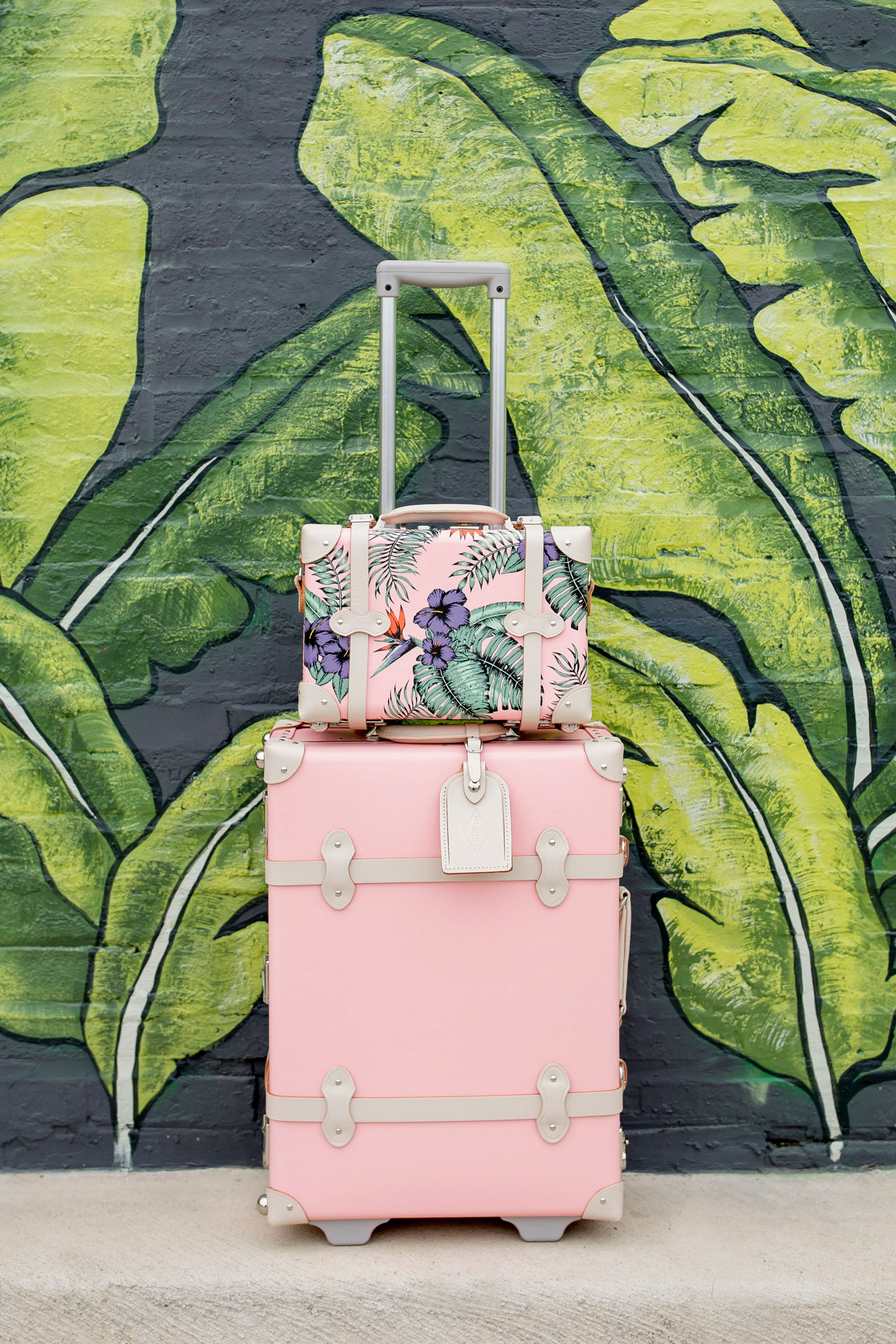 SteamLine Pink Luggage