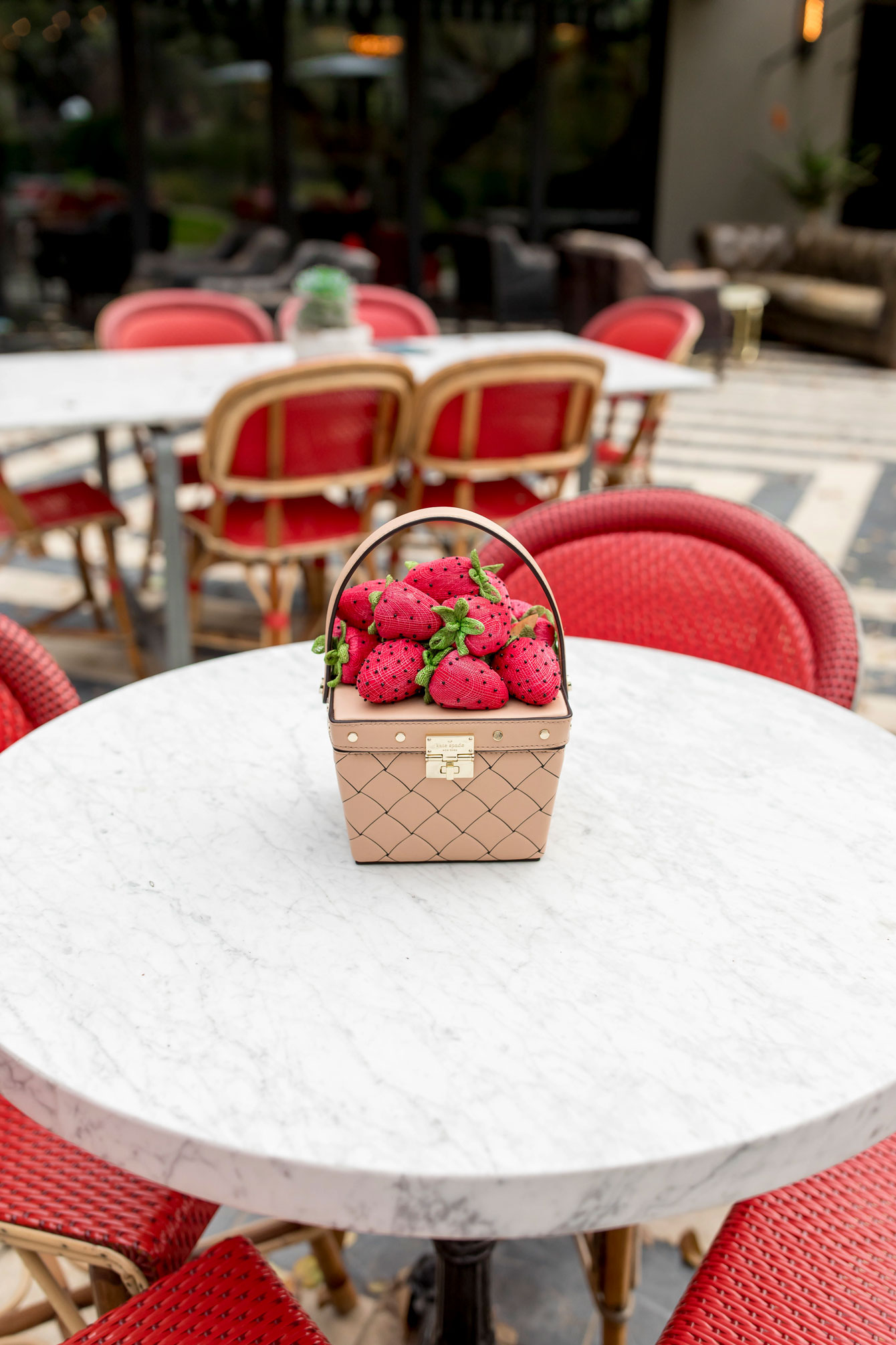 Kate Spade Strawberry Novelty Bag