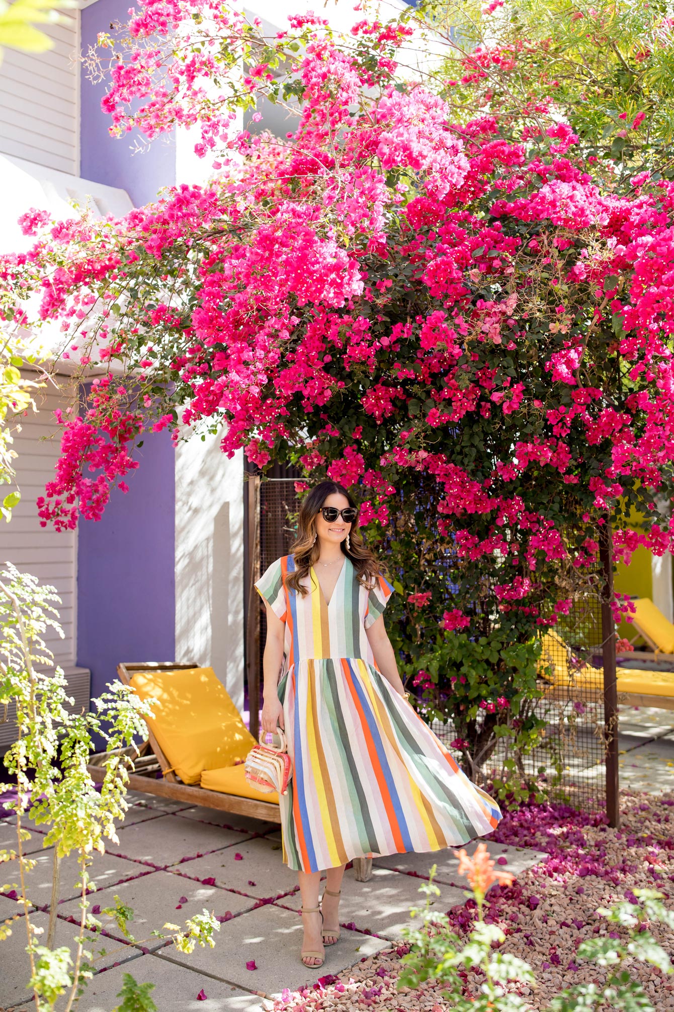 Scottsdale Bougainvillea