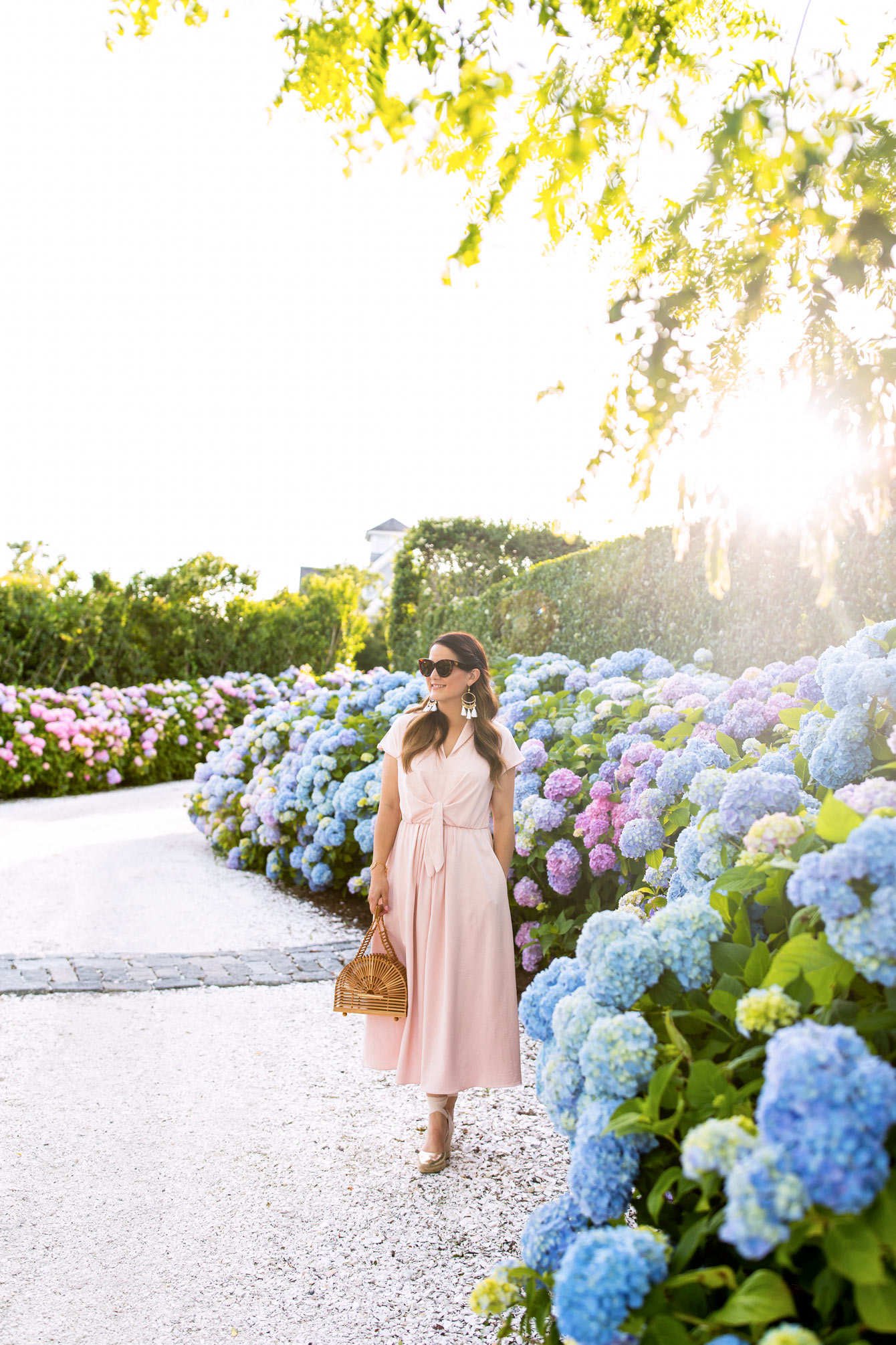 Nantucket Hydrangea Driveway