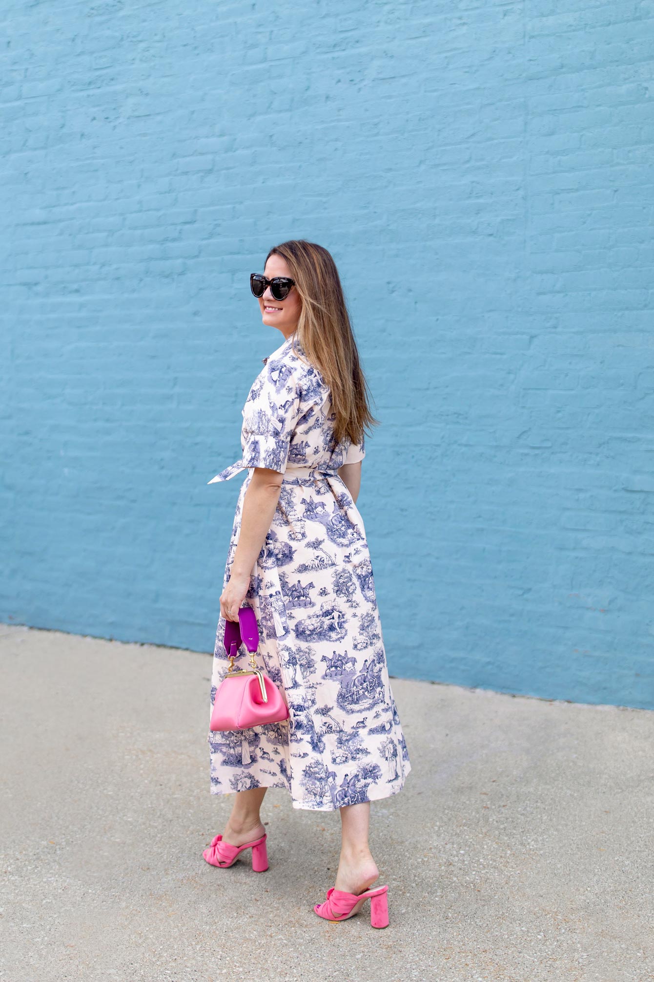 Blue Toile Shirtdress