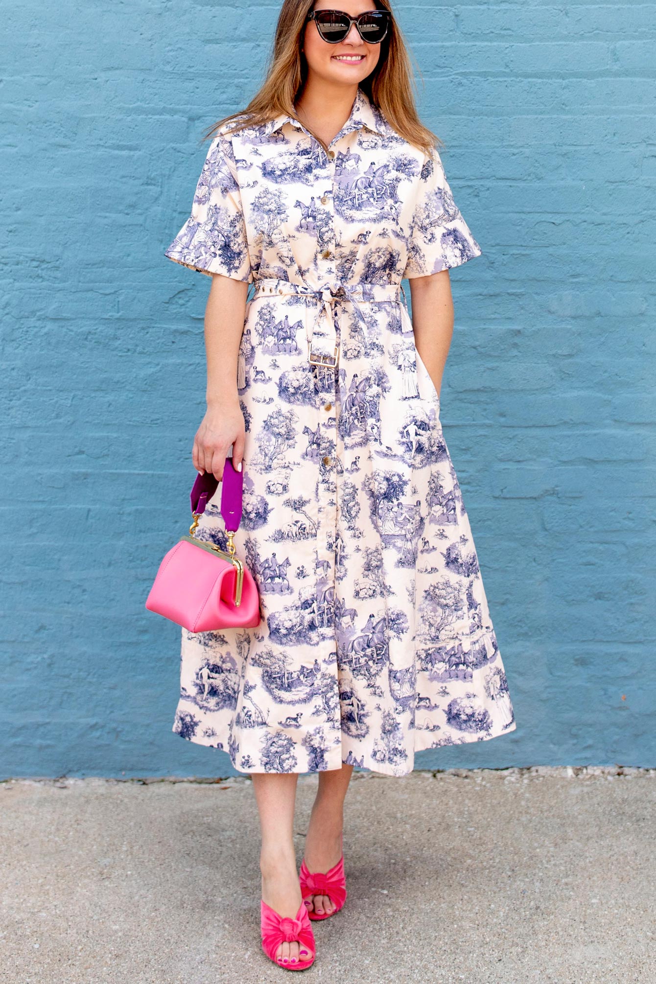 Rachel Antonoff Toile Shirtdress