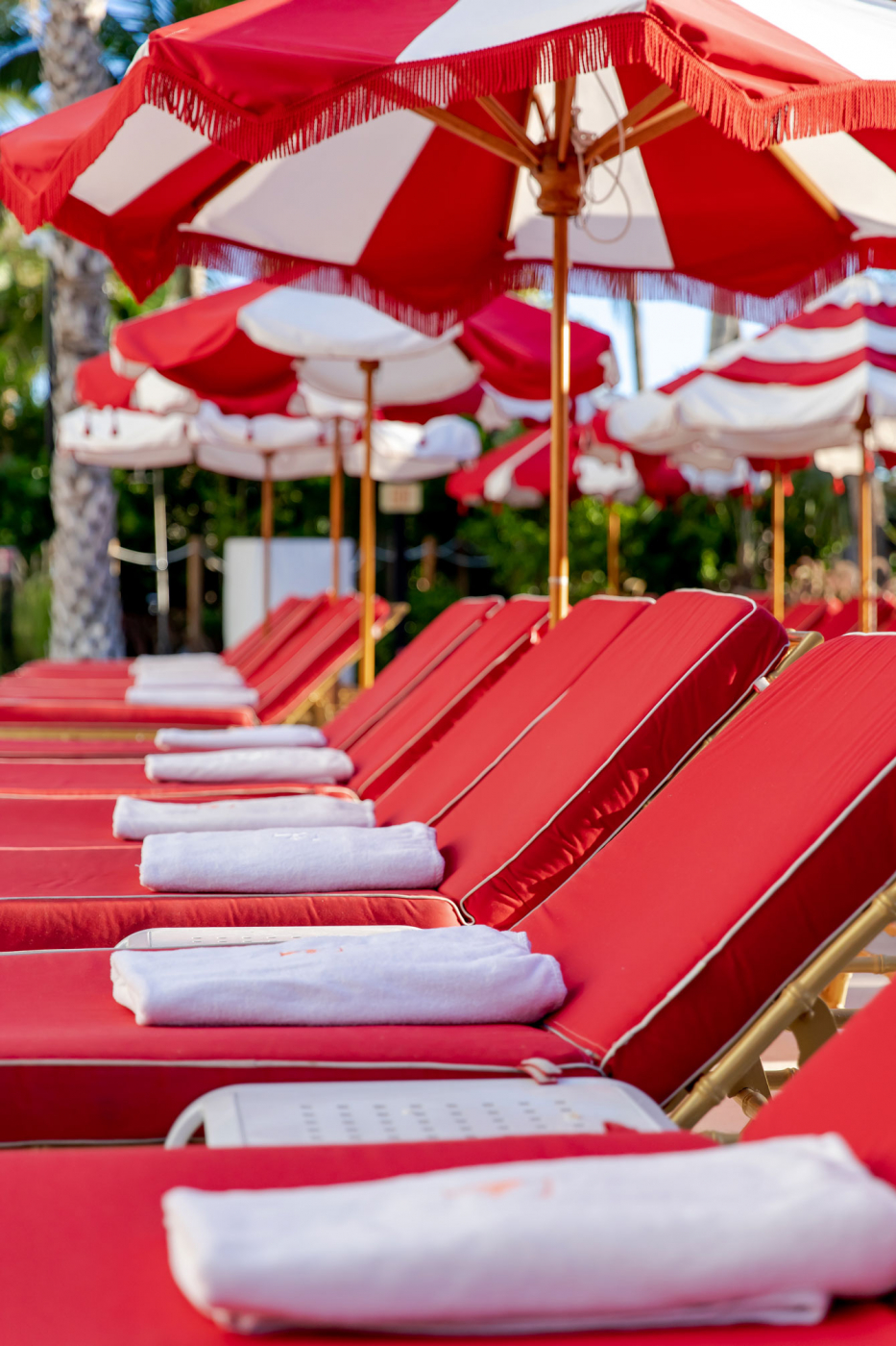 Faena Miami Beach Red Pool Chairs