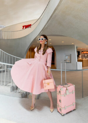 The Must-Know Details of the SteamLine Luggage Sale