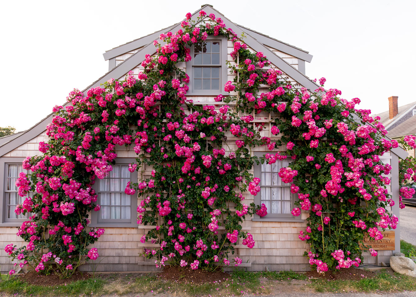 Rose Covered Cottage Sconet Nantucket