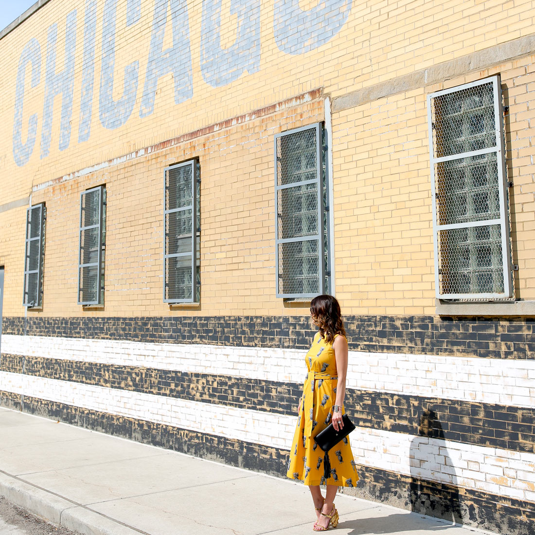 Goose Island Chicago Stripe Mural