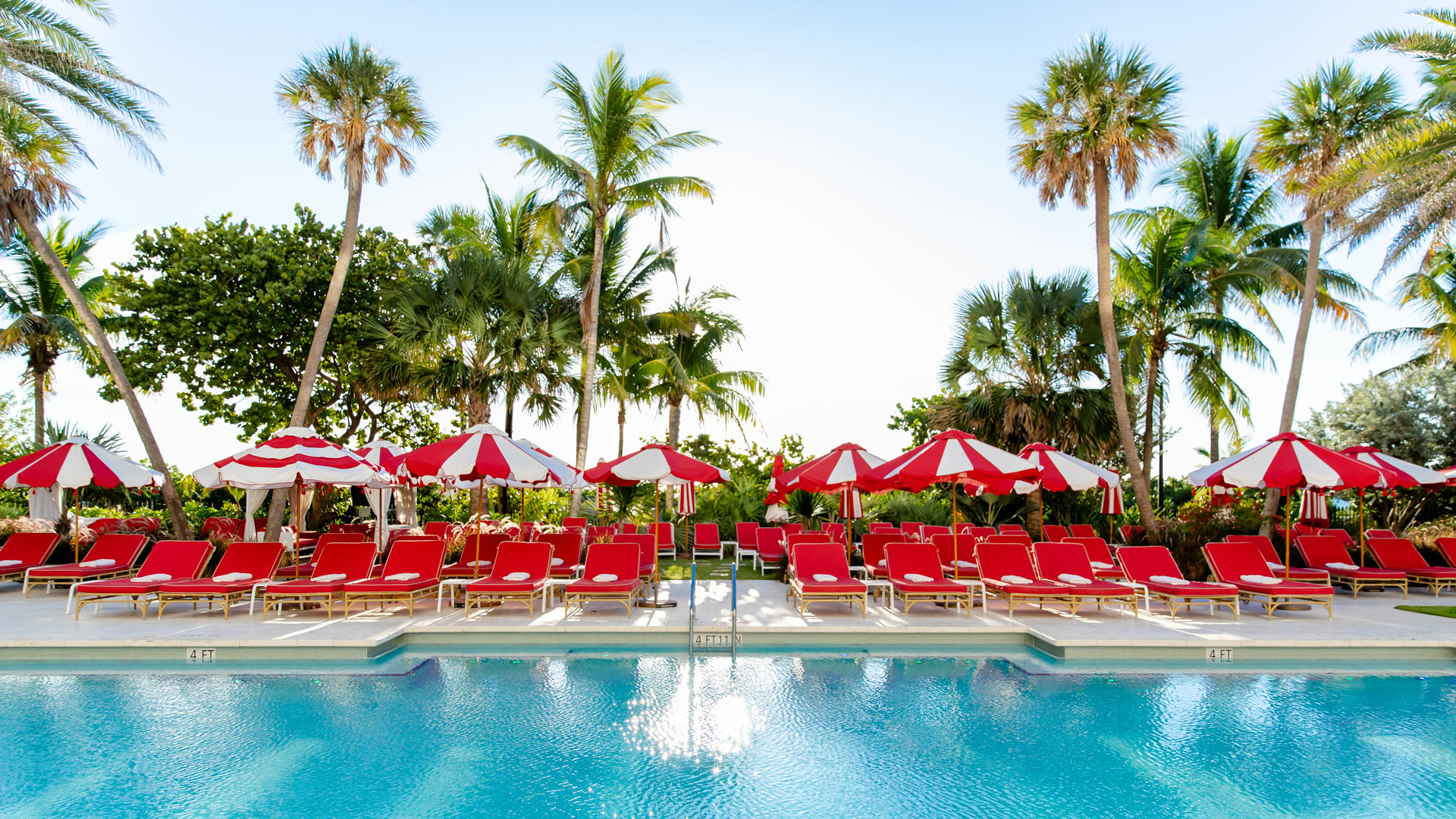 Jennifer Lake Zoom Background Faena Pool