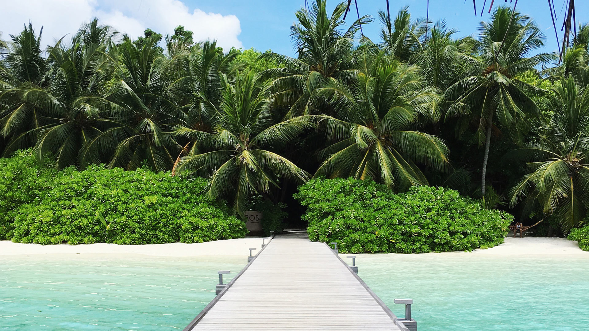 Jennifer Lake Zoom Background Maldives 03