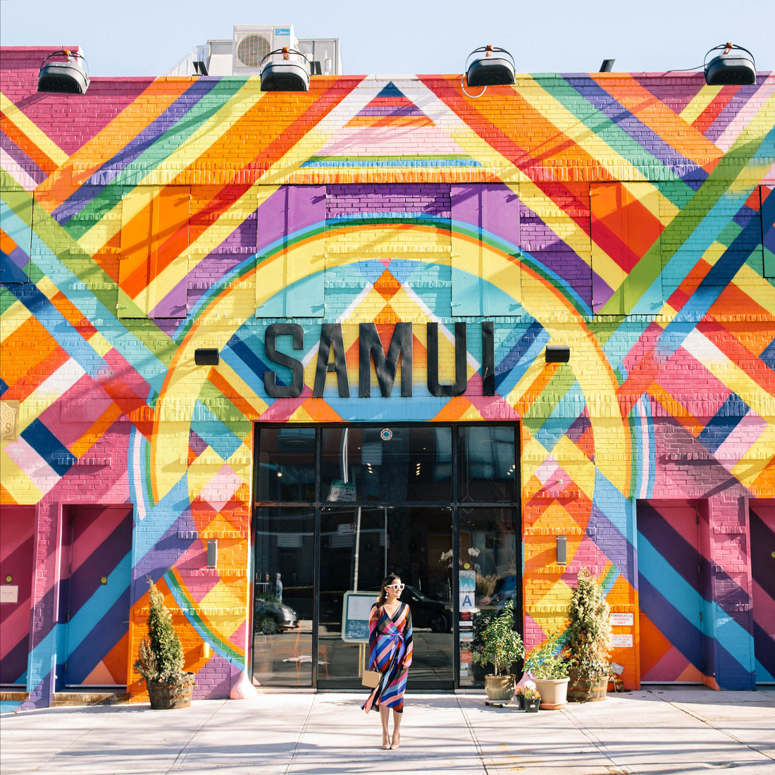 Samui Colorful Building Brooklyn New York