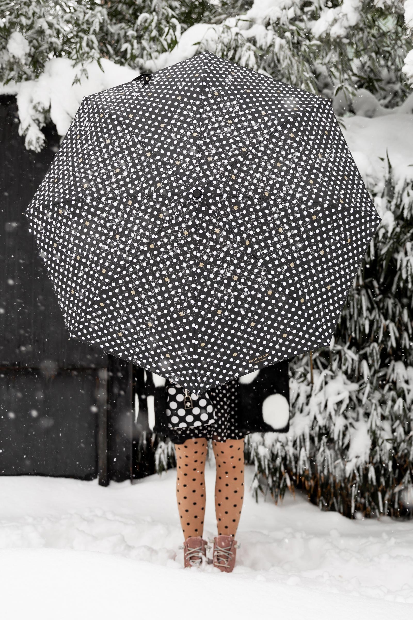 Kate Spade Umbrella