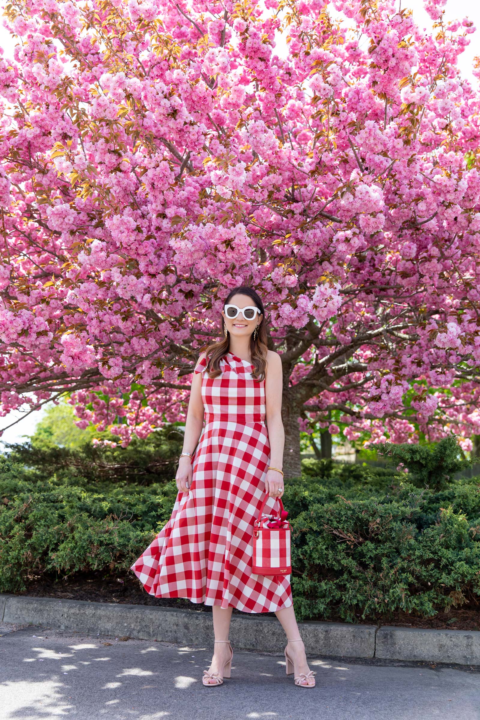 Rhode Island Pink Trees