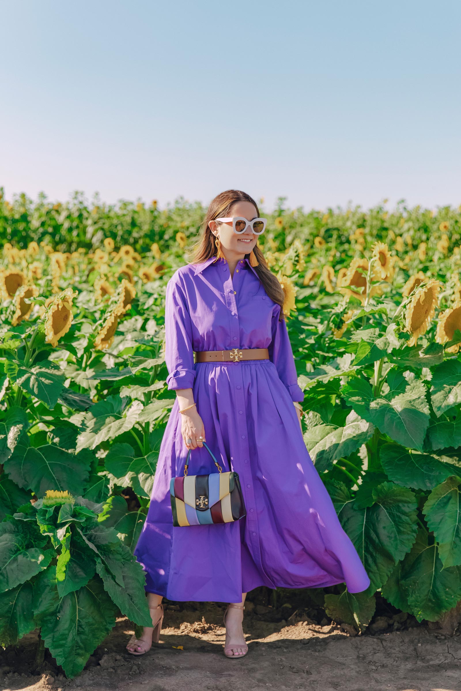 illinois sunflower farm