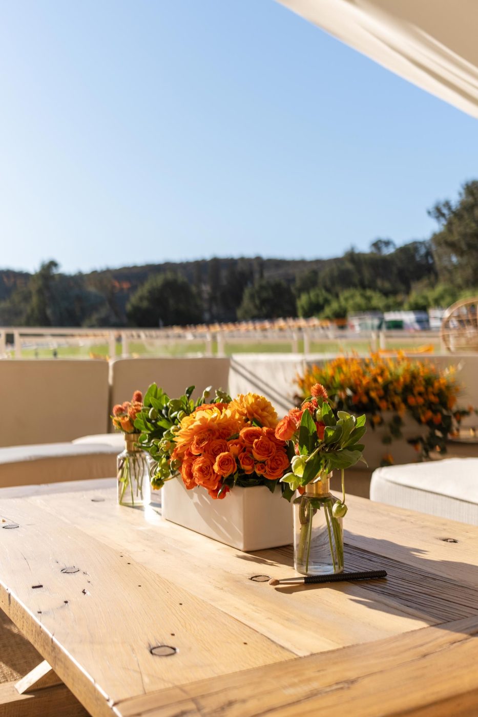 Veuve Clicquot Polo Classic VIP