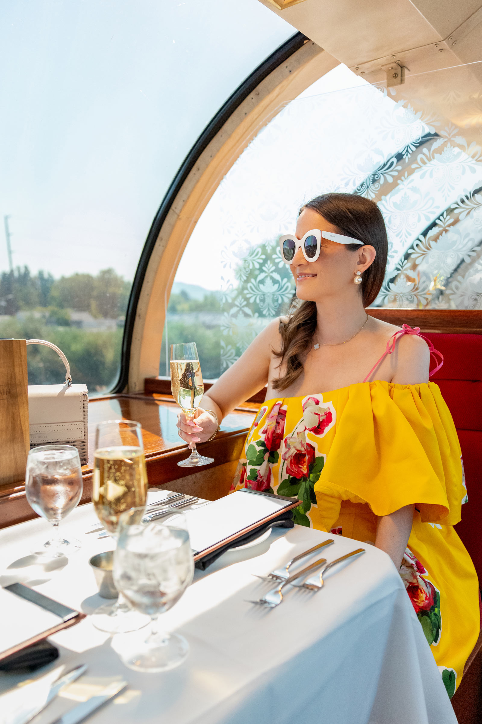 Napa Valley Wine Train Review