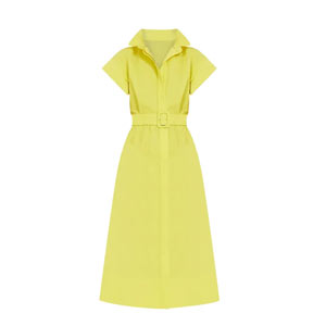 Tuckernuck Chloe Dress Citron